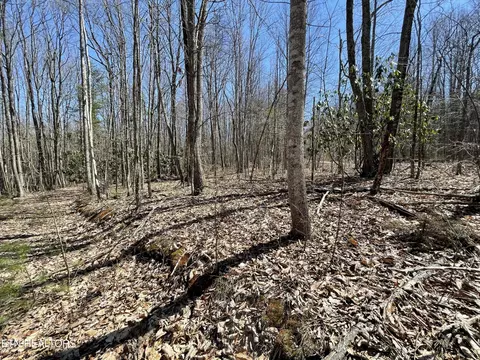 962 Lighten Rd, Parrottsville, TN 37843