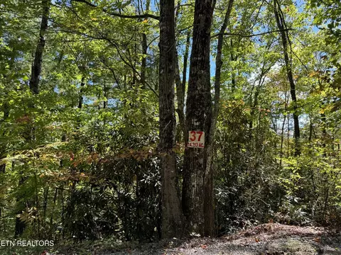 37 Joy Way, Hartford, TN 37753