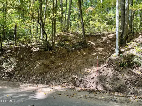 1870 Dyer Hollow Rd, Mohawk, TN 37810
