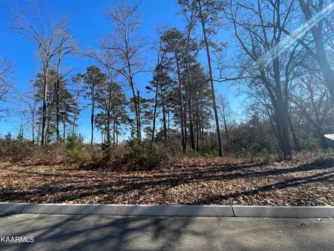 96 Cow Poke Ln, Rutledge, TN 37861