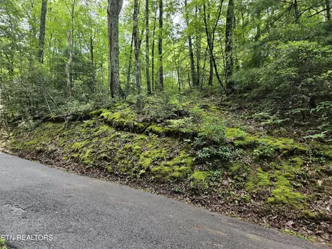 0 Lot 1006 N School House Gap Rd, Sevierville, TN 37876