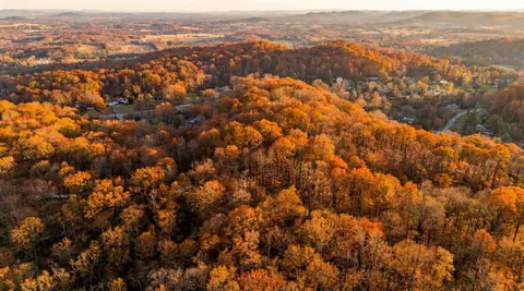 218 Forest Ridge Ct, Franklin, TN 37069