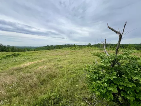 0 Sawdust Rd, Hurricane Mills, TN 37078