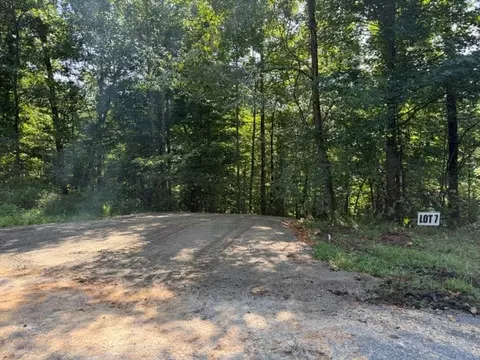 7 Slaughter Rd N, Primm Springs, TN 38476