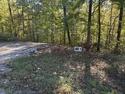 7 Slaughter Rd N, Primm Springs, TN 38476