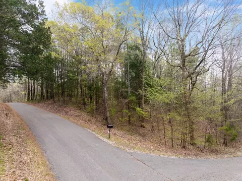 0 Branch Loop, Big Sandy, TN 38221 photo 5