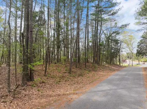 0 Branch Loop, Big Sandy, TN 38221 photo 3