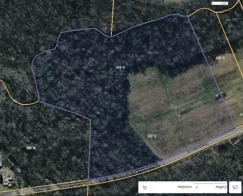 0 Pocahontas Rd, Morrison, TN 37357 photo 5