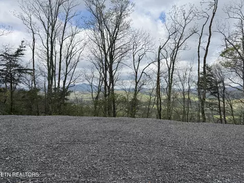393 Green Forest Rd, Cosby, TN 37722