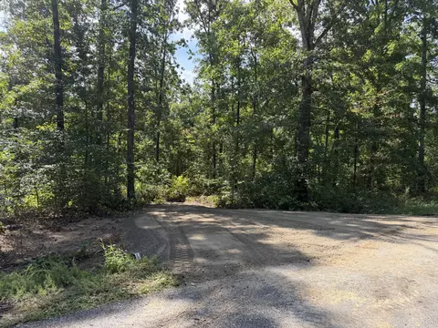 9 Slaughter Rd, Primm Springs, TN 38476