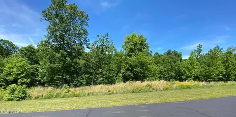 0 Water View Dr, Rockwood, TN 37854
