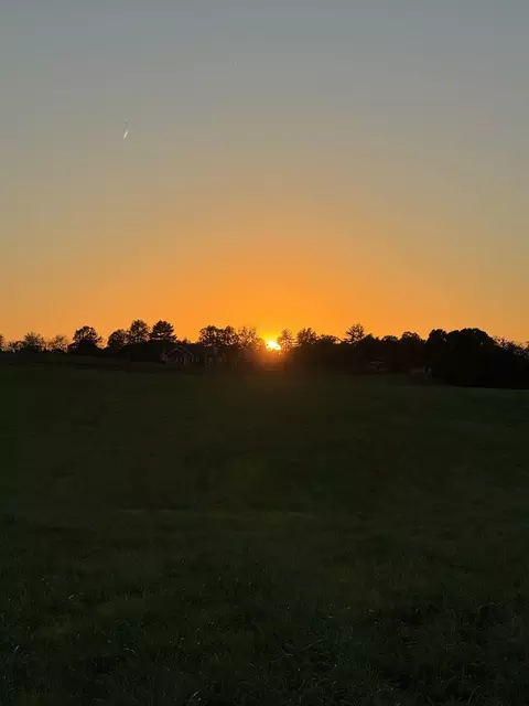 0 Woody Atkinson Rd, Woodburn, KY 42170