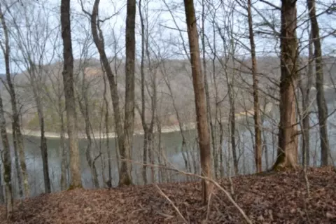 0 Garrett Town Ln, Monroe, TN 38573