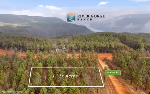 1326 Musket Rd, Guild, TN 37340