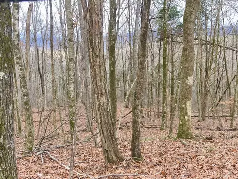 0 Monterey Hwy, Monterey, TN 38574
