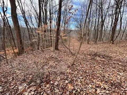 61 Old Hickory Pl, Smithville, TN 37166