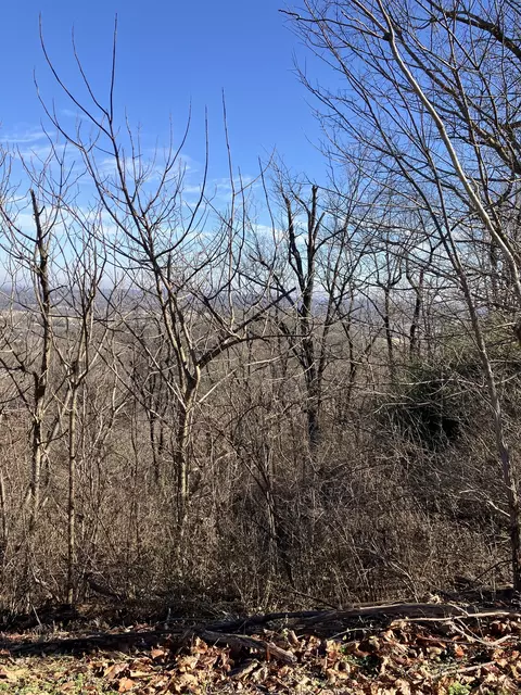 1200 Longstreet Cir, Brentwood, TN 37027