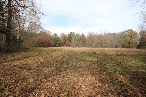 10 N Nopone Valley Rd, Decatur, TN 37322