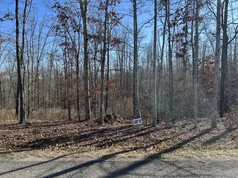 12 Slaughter Rd, Primm Springs, TN 38476