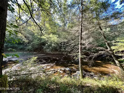 123 Doc Huling Rd, Robbins, TN 37852 photo 13