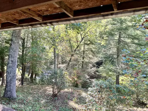 123 Doc Huling Rd, Robbins, TN 37852 photo 7