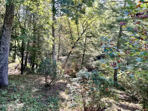 123 Doc Huling Rd, Robbins, TN 37852 photo 9