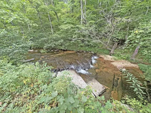 0 Double Branch Rd, Collinwood, TN 38450