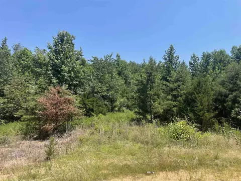 51 Billy Nance Hwy, Clifton, TN 38425