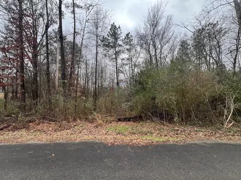 0 E Tulip St, Decaturville, TN 38329