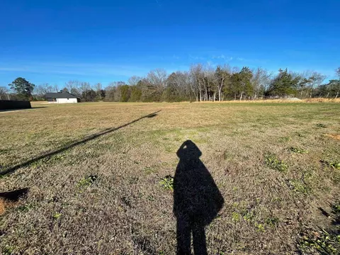 17 Cordova Cv, Savannah, TN 38372