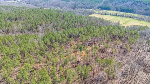 0 Cherry Chapel Loop, Savannah, TN 38372 photo 8