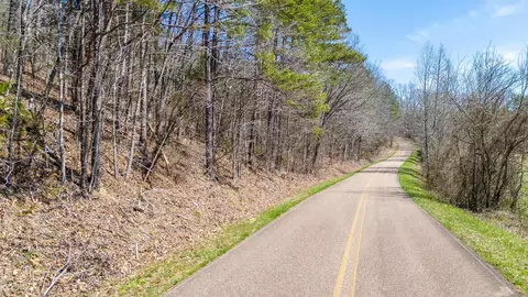 0 Cherry Chapel Loop, Savannah, TN 38372 photo 20