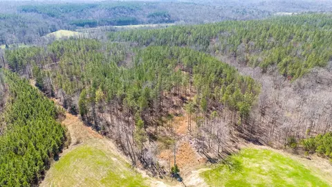 0 Cherry Chapel Loop, Savannah, TN 38372 photo 6