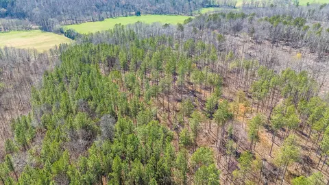 0 Cherry Chapel Loop, Savannah, TN 38372 photo 15