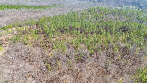 0 Cherry Chapel Loop, Savannah, TN 38372 photo 11