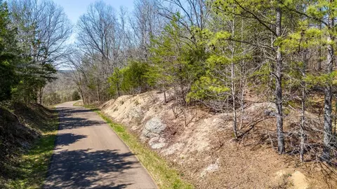 0 Cherry Chapel Loop, Savannah, TN 38372 photo 2