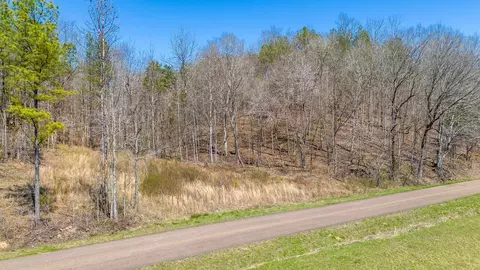 0 Cherry Chapel Loop, Savannah, TN 38372 photo 18