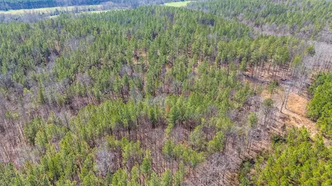 0 Cherry Chapel Loop, Savannah, TN 38372 photo 10