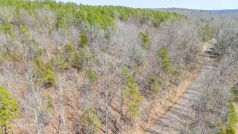 0 Cherry Chapel Loop, Savannah, TN 38372 photo 22