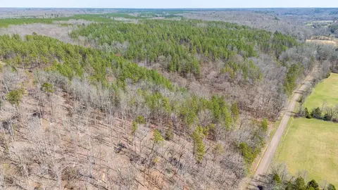 0 Cherry Chapel Loop, Savannah, TN 38372 photo 3