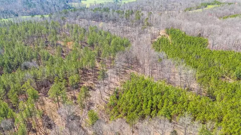 0 Cherry Chapel Loop, Savannah, TN 38372 photo 14