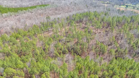 0 Cherry Chapel Loop, Savannah, TN 38372 photo 9