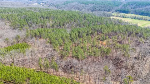 0 Cherry Chapel Loop, Savannah, TN 38372 photo 7