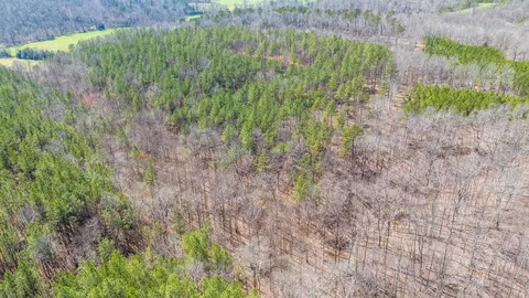 0 Cherry Chapel Loop, Savannah, TN 38372 photo 13