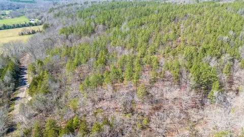 0 Cherry Chapel Loop, Savannah, TN 38372 photo 29