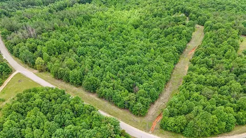 1400 Coy Hill Rd, Olivehill, TN 38475