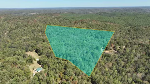 1180 Cerro Gordo Rd, Olivehill, TN 38475