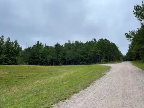 0 Estate Cir, Counce, TN 38326