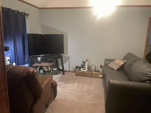 660 Ymca Ln, Counce, TN 38326 photo 5