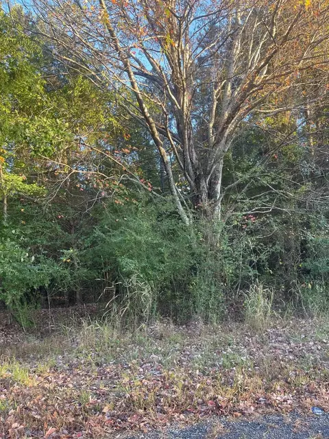 0 Lauderdale Rd, Savannah, TN 38372
